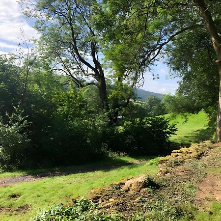 The Spring Slad Valley Cotswolds Painswick Dış mekan fotoğraf