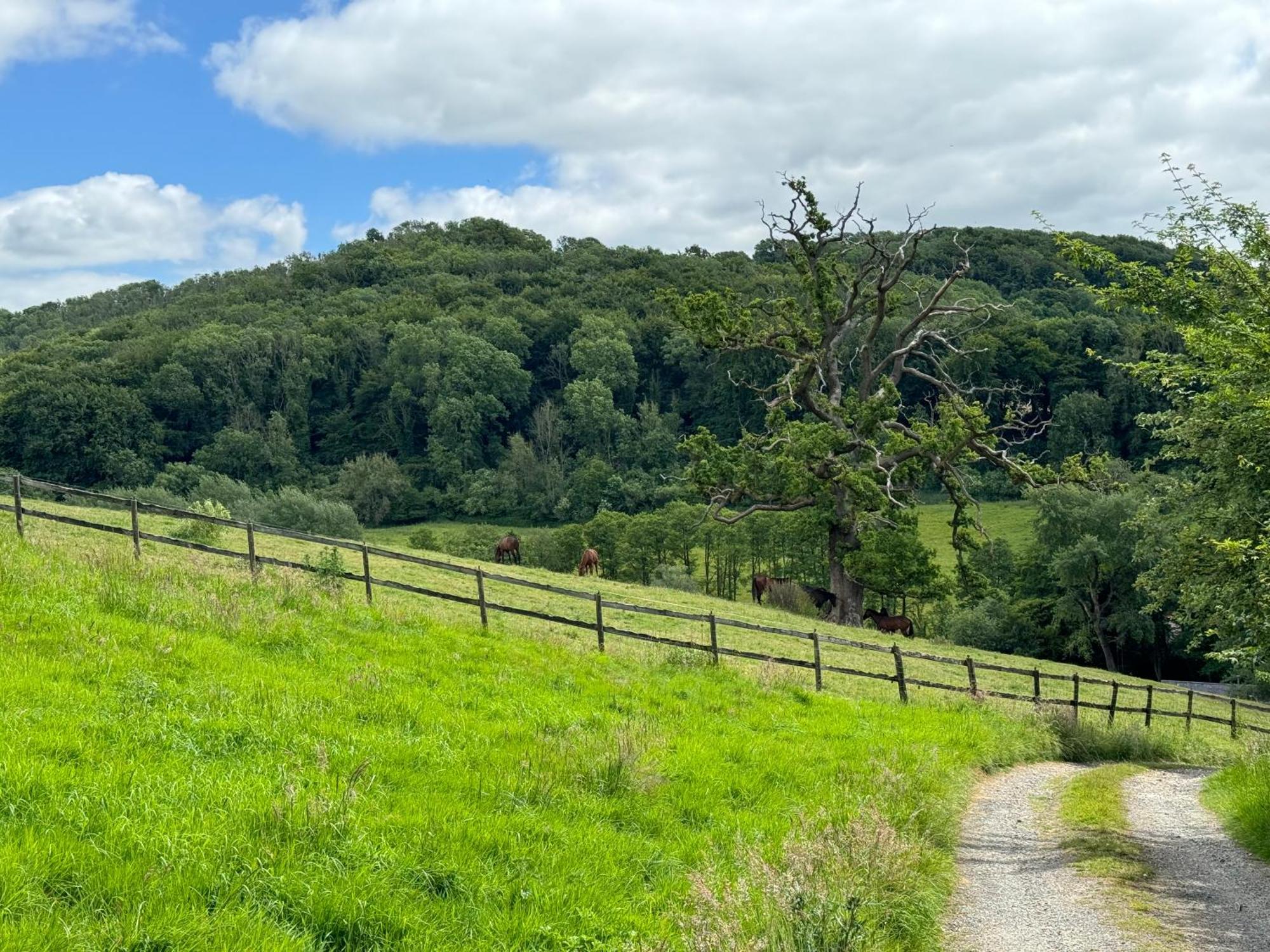 The Spring Slad Valley Cotswolds Painswick Dış mekan fotoğraf